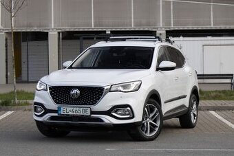 Mg EHS - 1