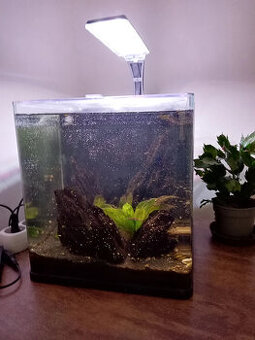 Nano akvárium Invital 18l