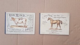 Staré německé knihy kůň a domácí dobytek - skot,