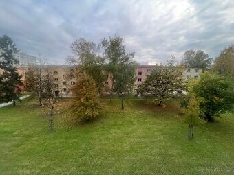 2+1 55 m2, Plavecká ul, Hrabůvka