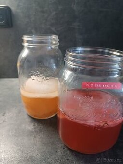 Kombucha