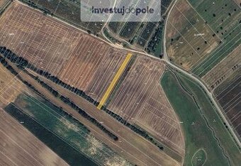 Prodej pole v k.ú. Šardice - 1