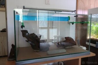 Prodám akvarium - 1