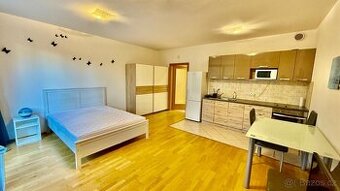 🏡 Volný byt 1+kk se zahrádkou – Praha 3,