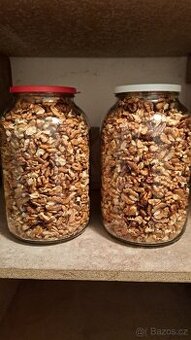 Vyloupané vlašské ořechy