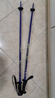 Lyžařské hůlky Masters 85 cm