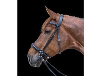 Bezzubadlová anglická uzda