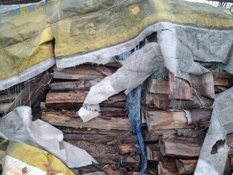 Palivové dřevo buk