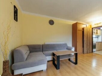 Pronájem byt 1kk Kynšperk nad Ohří (Cheb, Sokolov)