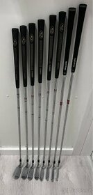 Ben Hogan Apex Plus Forged