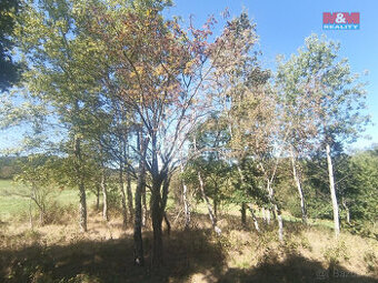 Prodej ostatní, 3069 m², Blatno