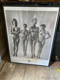 Velky Obraz/Foto - Helmut Newton