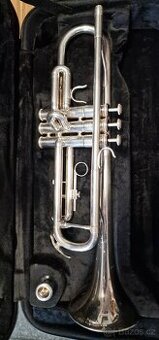 B trumpetu