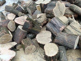 Měkké dřevo v akci