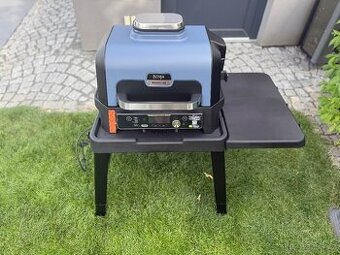 Gril Ninja woodfire OG901EU