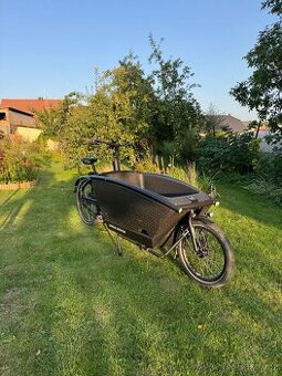 Černe cargo kolo Urban Arrow family