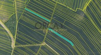 Prodej 0,4 ha orné půdy v k. ú. Jestřabice