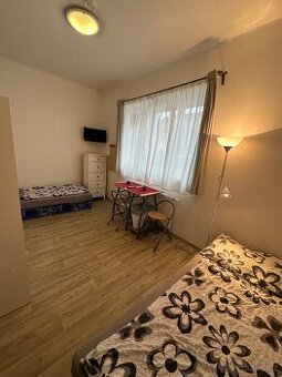 NABÍZÍM DLOUHODOBÝ PRONÁJEM KOMPLETNĚ ZAŘÍZENÝ WIFI PARKING - 1