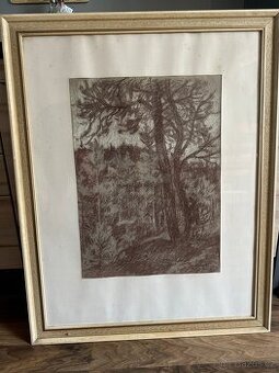 J.R.Schuster obraz Borovice