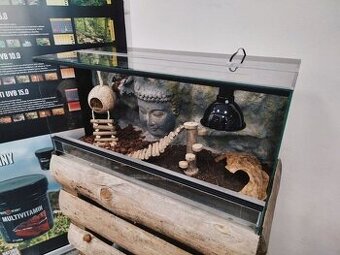 Terárium Indie 80x40x40 cm s 3D pozadím a hlavou Buddhy