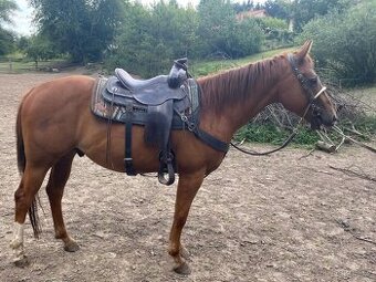 Aqh, Qh