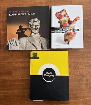 Kouzlo okamžiku, Jak číst současné umění, Zhang Xiaogang