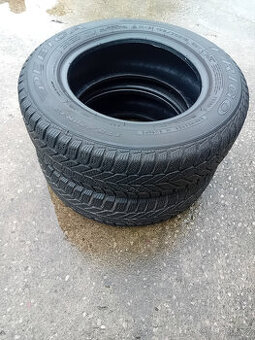 Zimní pneumatiky Debica 175/70 R13