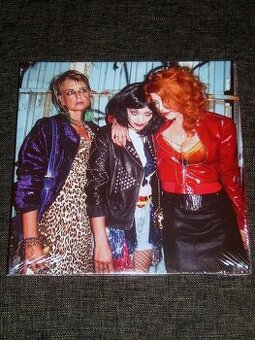 2LP PSH / Peneři Strýčka Homeboye / Debut (2019) / RARE /