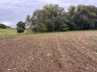 Prodeji zahrady Kú Ladín. - 1