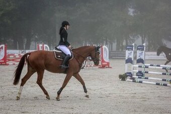 Charakterní kobylka