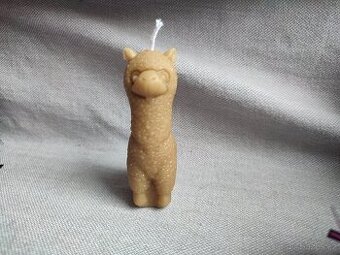svíčka lama