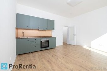 Pronájem bytu 1+kk 28 m² - 1