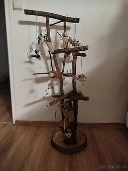 Strom pro papoušky - 1