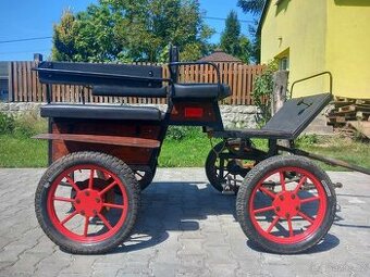 Wagoneta - 1