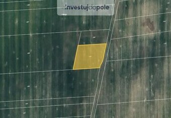 Prodej pole v k.ú. Štíhlice - 1