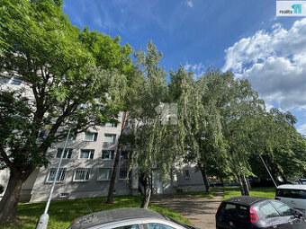 Pronájem bytu 1+1/B, 41.3 m2, po renovaci, nezařízený, Praha