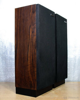 Reprobedny Pioneer. - 1