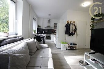 OV 2+kk Nížkovice, 2.NP/3, výměra 38,8 m2, komora, sklep,...