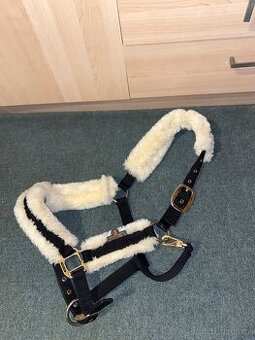 Ohlávka Kentucky cob