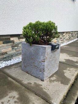 Betonový květináč - šedý se zlatým dekorem, osvětlení