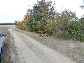 Pronájem zahrady 693 m2 na okraji Znojma, pronájem zahrada Z
