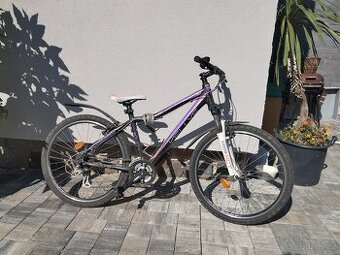 Kellys Vanity 30 (26´)