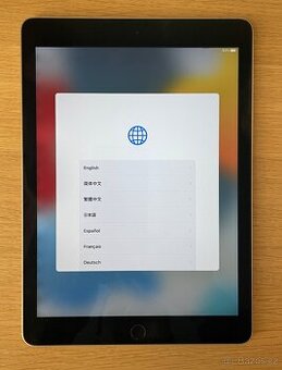 iPad Air 2 (64GB)
