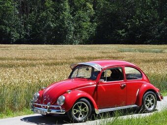 Volkswagen Brouk 1300