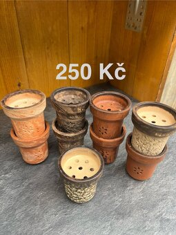 Korunky pro vodní dýmku.