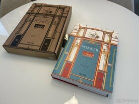 Fausto and Felice Niccolini Houses and monuments of Pompeii