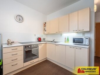 Bílovice nad Svitavou, byt 1+1, 35 m2, balkón, sklep - byt