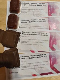 4 Vstupenky ČECHOMOR  2.7.2025