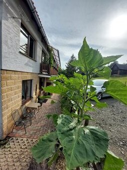 Prostorný dům s možností podnikání v podhradí