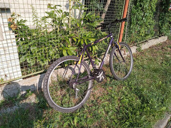 pánské kolo Olpran Fantom